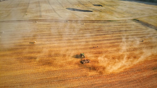 A tractor working on a vast farm field during golden hour.