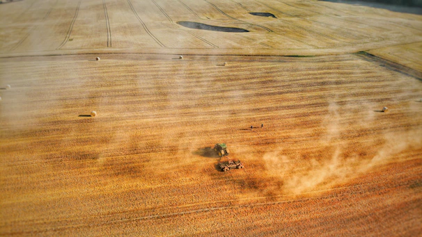 A tractor working the soil in a vast golden wheat field at sunrise