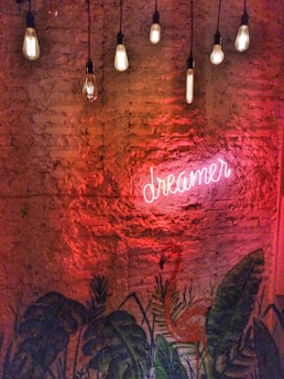 A rustic brick wall decorated with hanging vintage light bulbs. A neon sign reading 'dreamer' glows in pink against the wall. The lower part features a mural of large leafy plants and a flamingo.