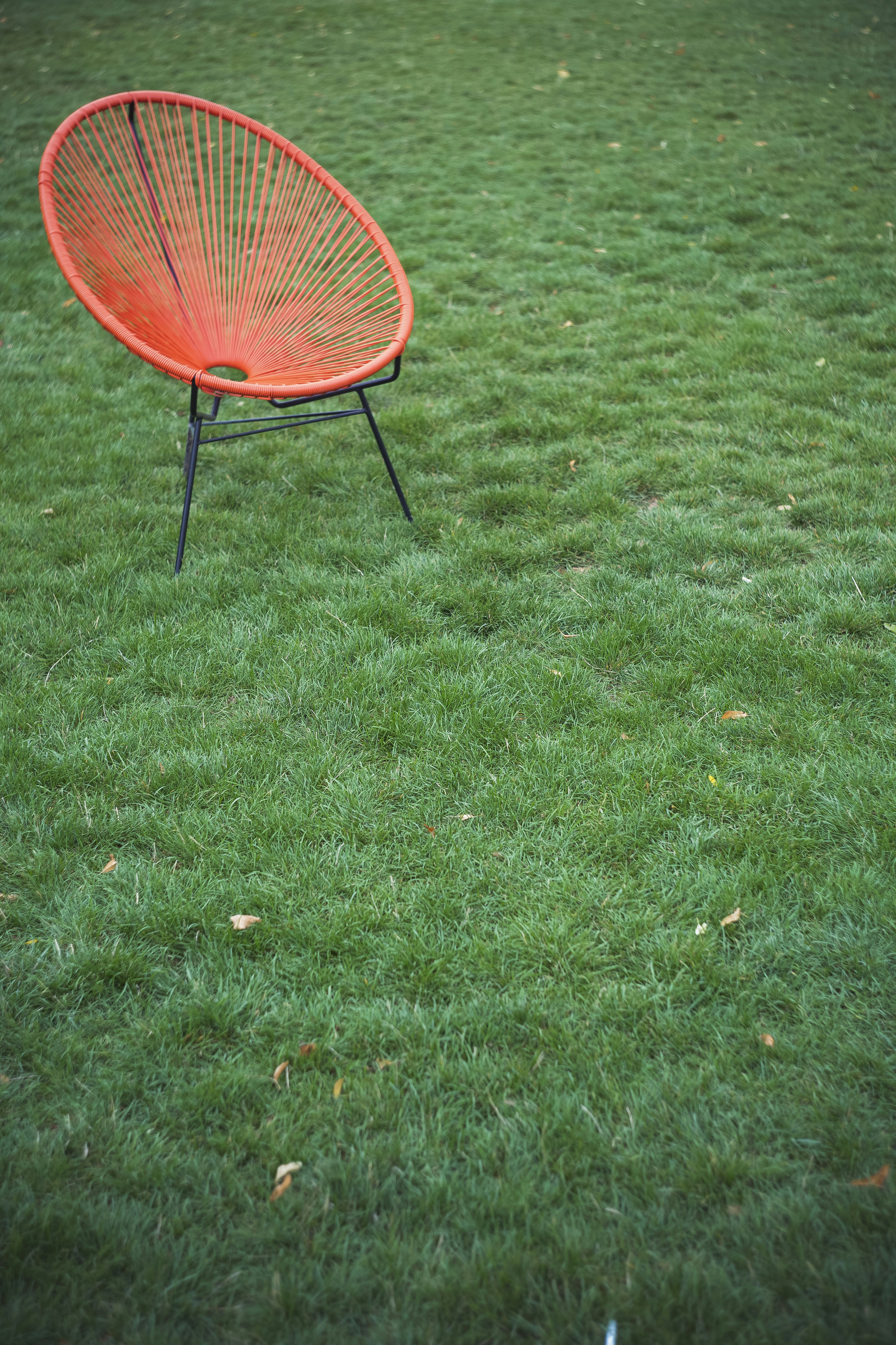 Red Bungee Chair On Green Grass Photo Free Chair Image On Unsplash