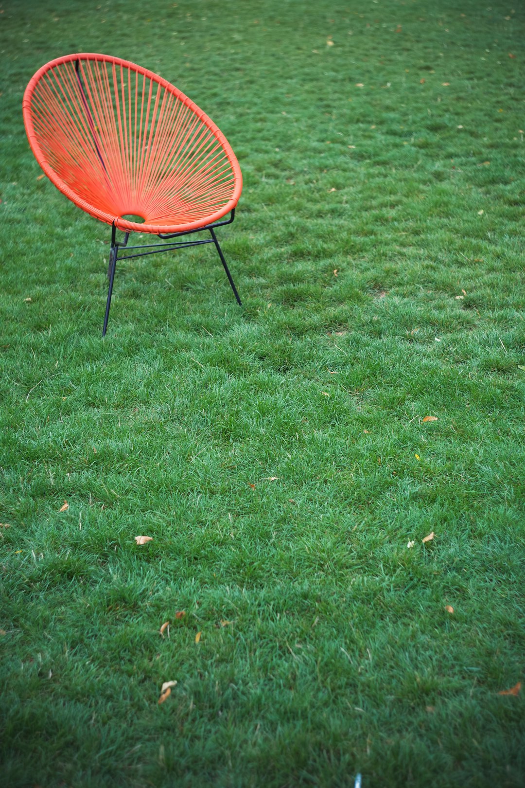 red bungee chair on green grass