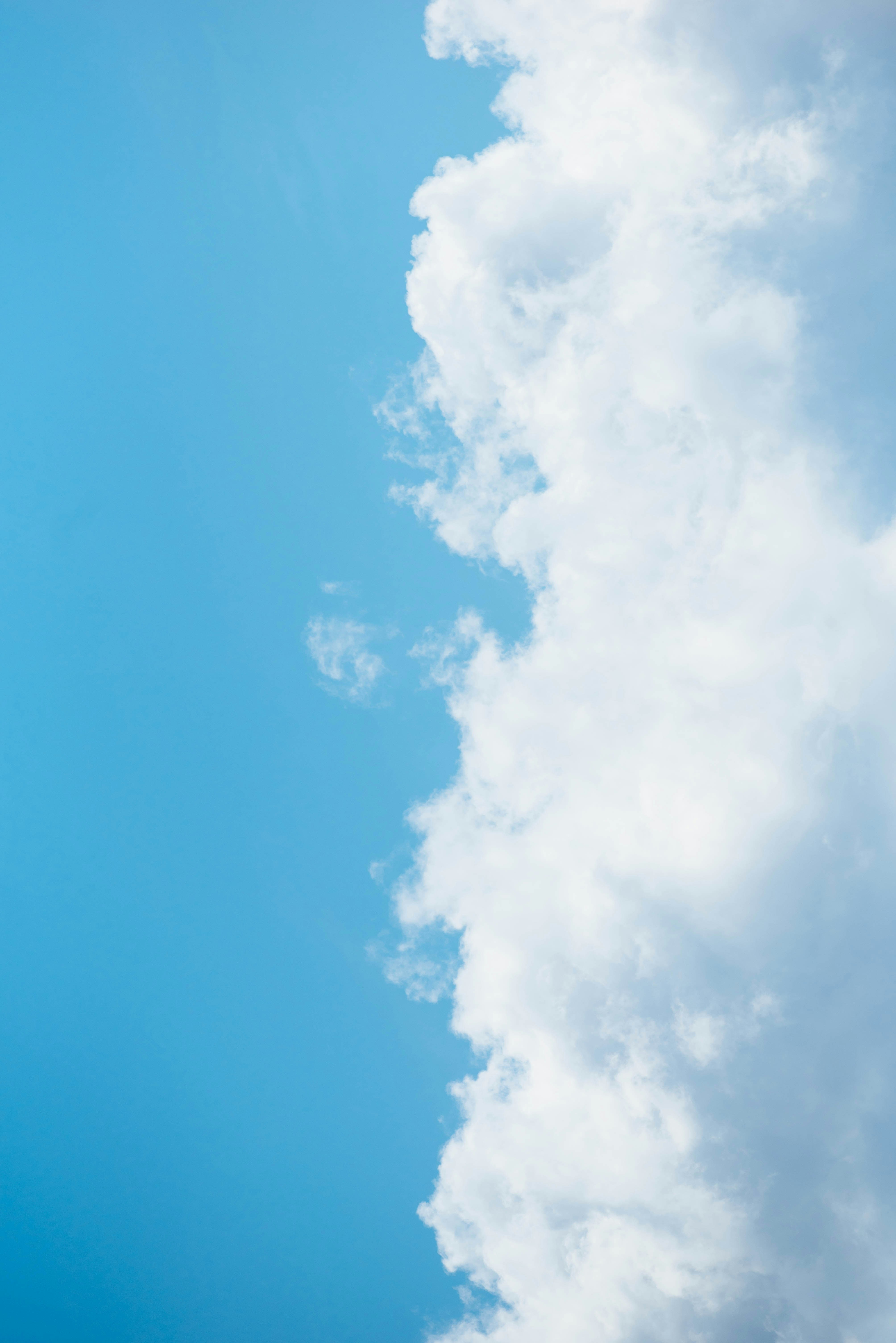 Photo by chuttersnap