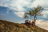 Pilgrims resting under a large tree, sharing stories and smiles