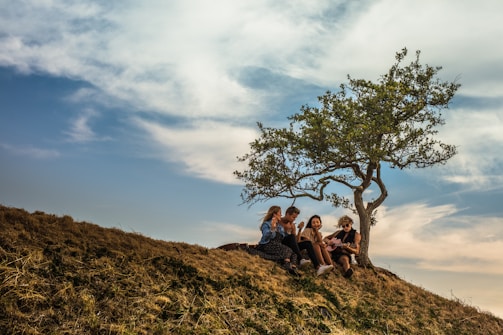 A small group sitting in a circle on soft grass under tall trees, sharing a peaceful moment at sunset.