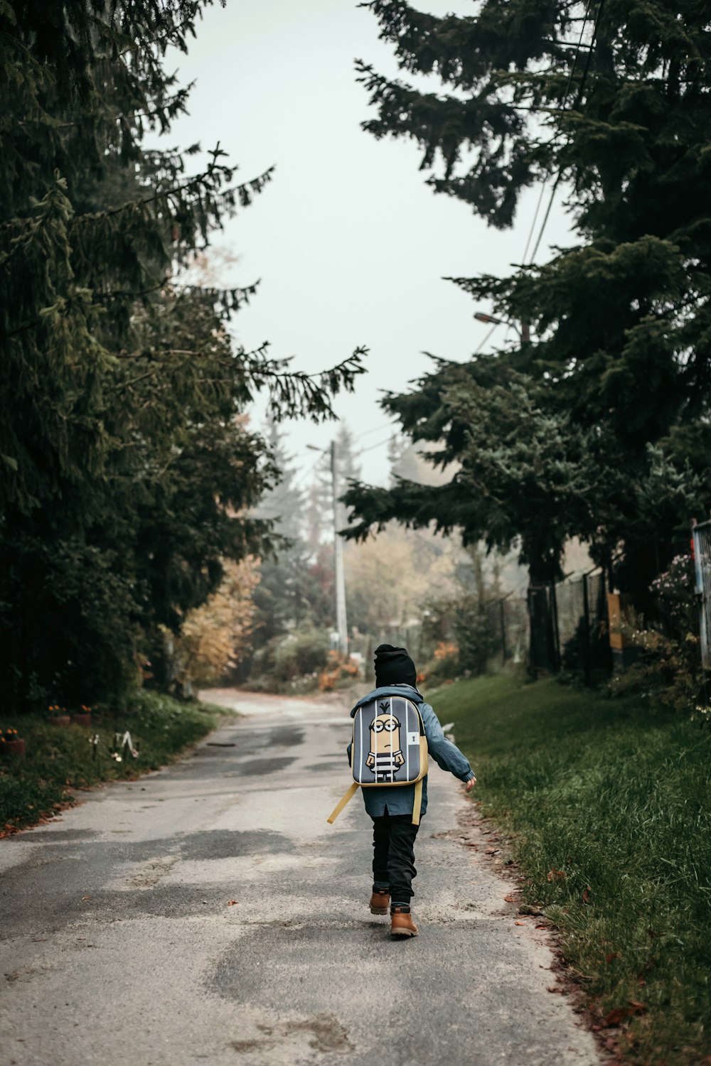 person walking between the trees