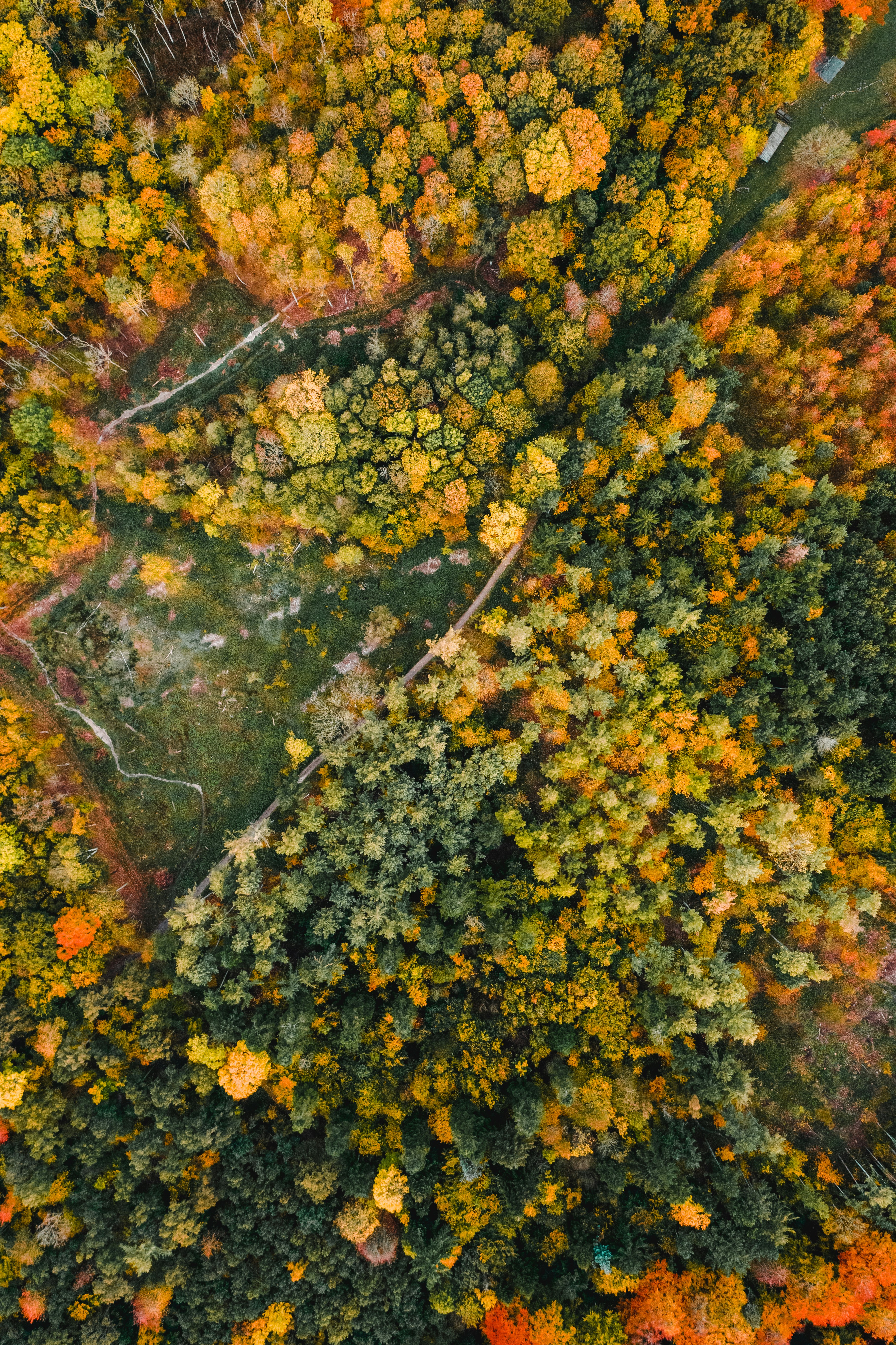 Photo by andreasdress