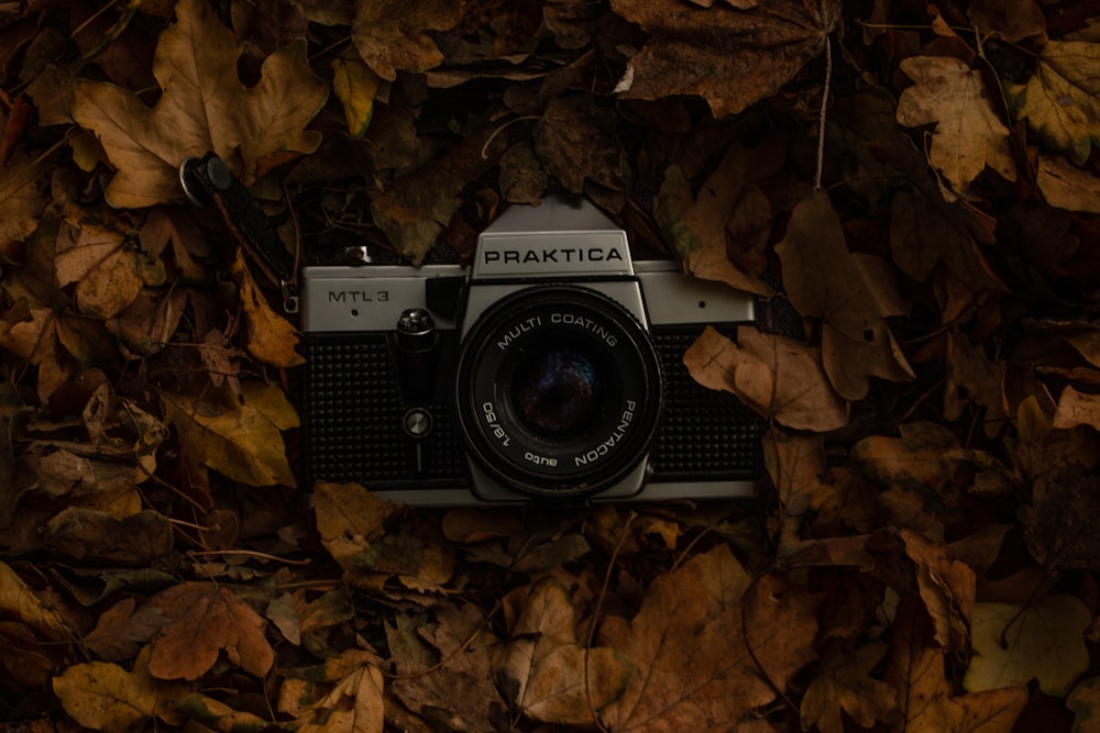 gray and black Praktica DSLR camera on brown grasses