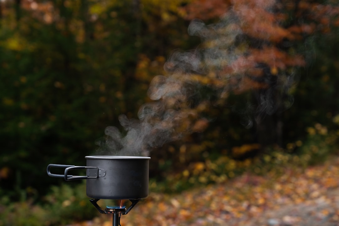 black stock pot during daytime