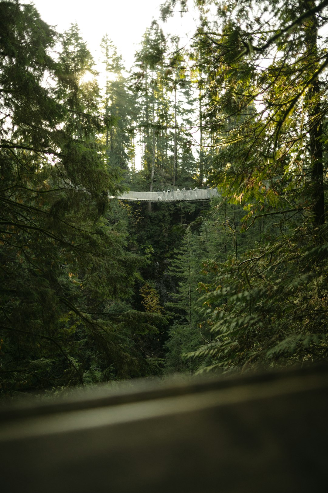 Forest photo spot Capilano Suspension Bridge Mayne Island