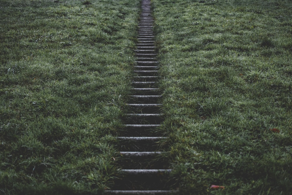 escalier entre le champ d’herbe