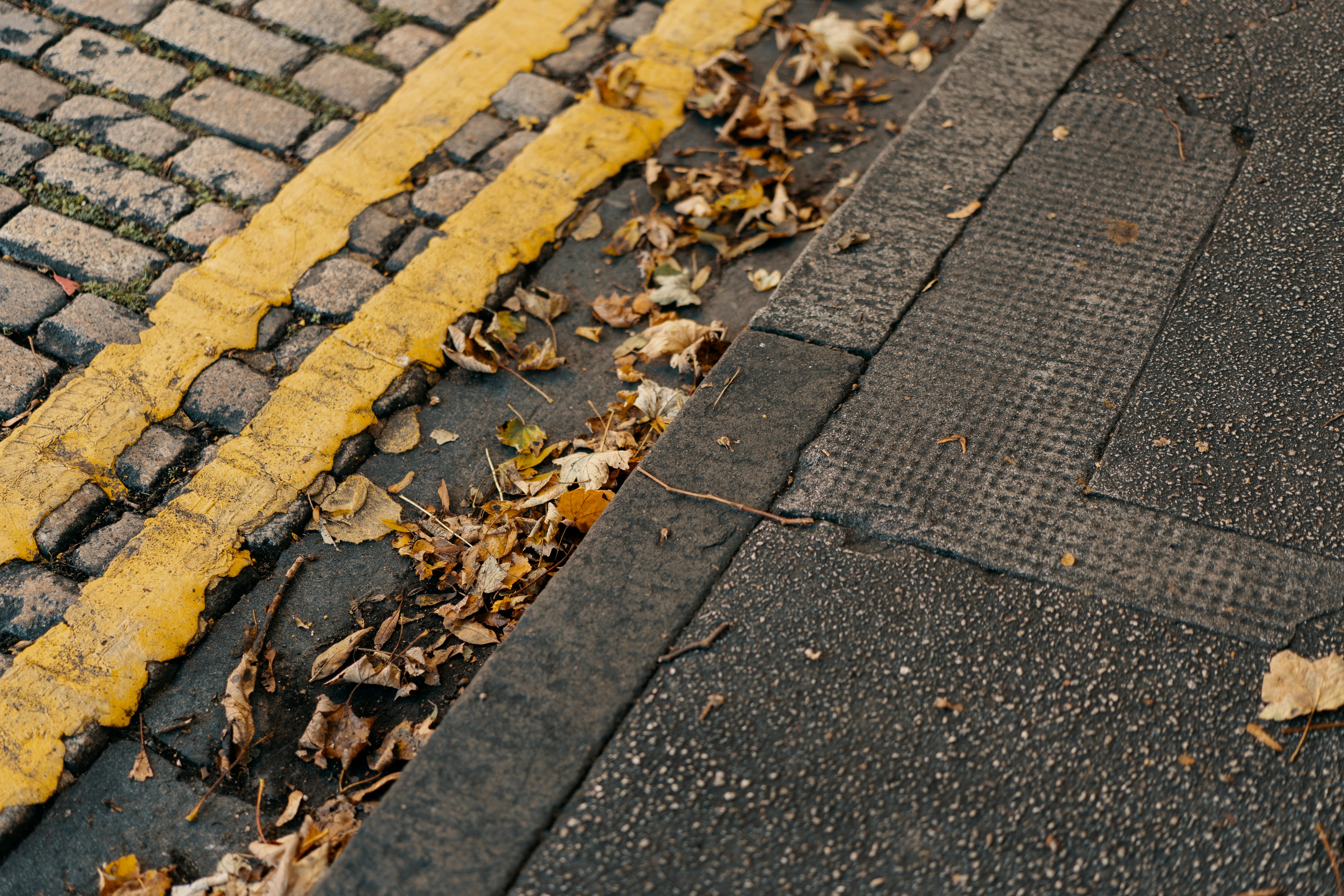 Photo by rosssneddon