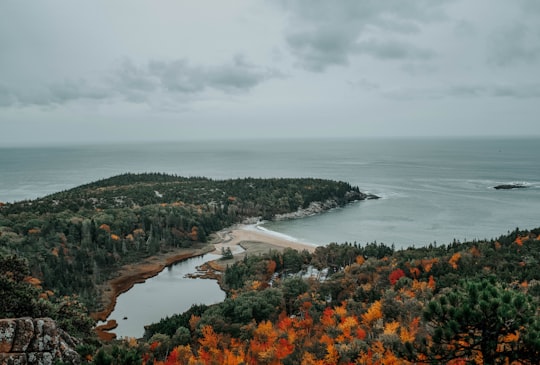 seashore in Acadia National Park United States