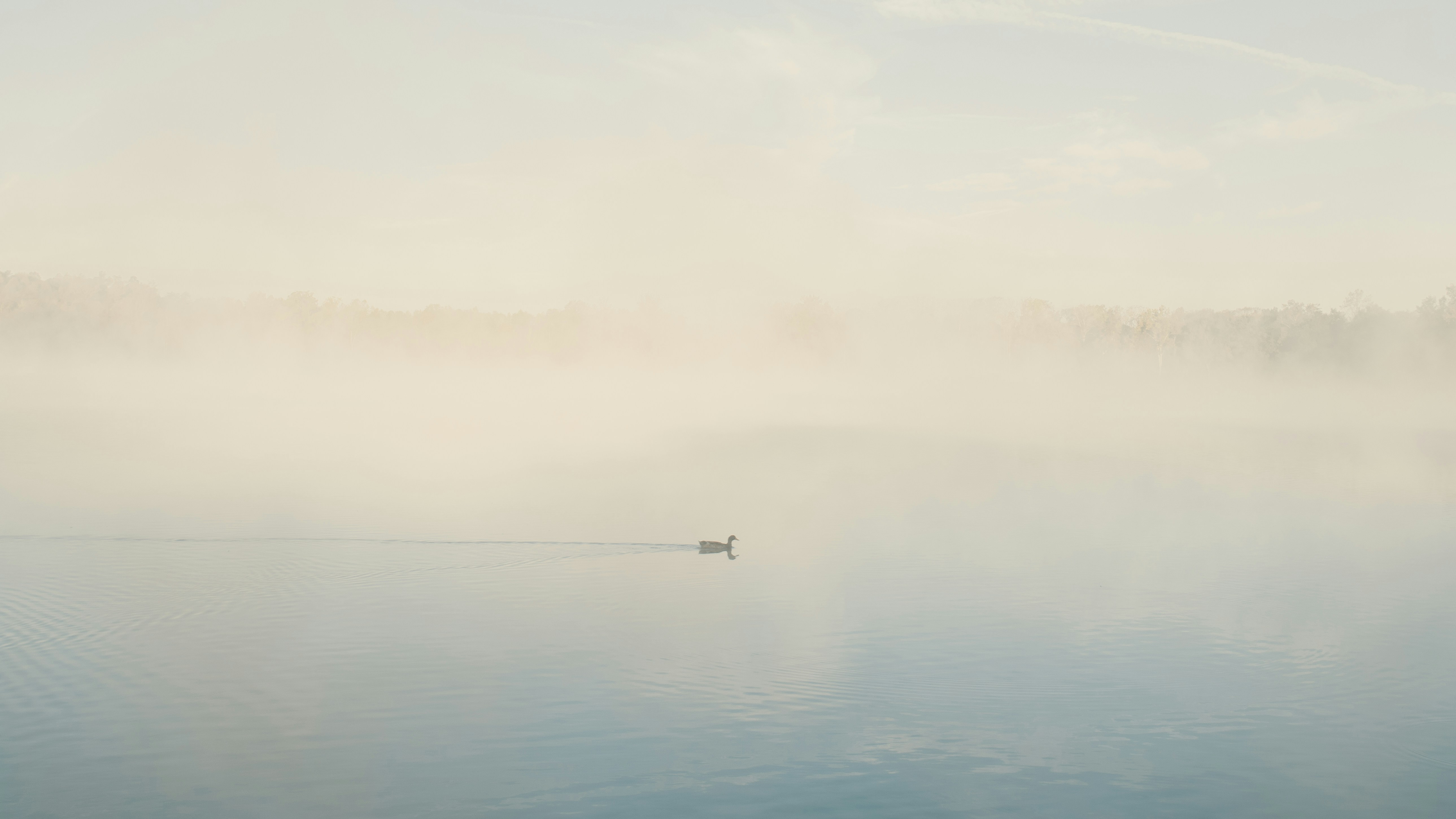 a boat floating on a lake in the middle of a foggy day, cutie