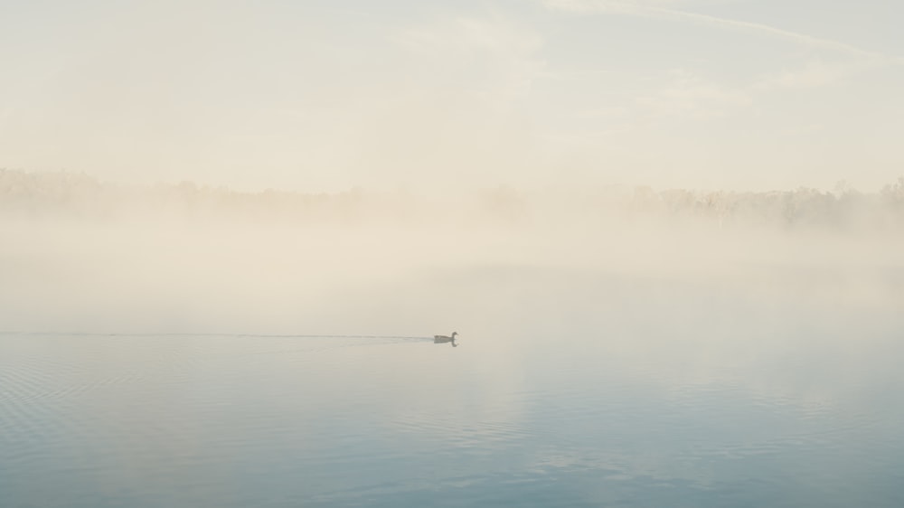 a boat floating on a lake in the middle of a foggy day