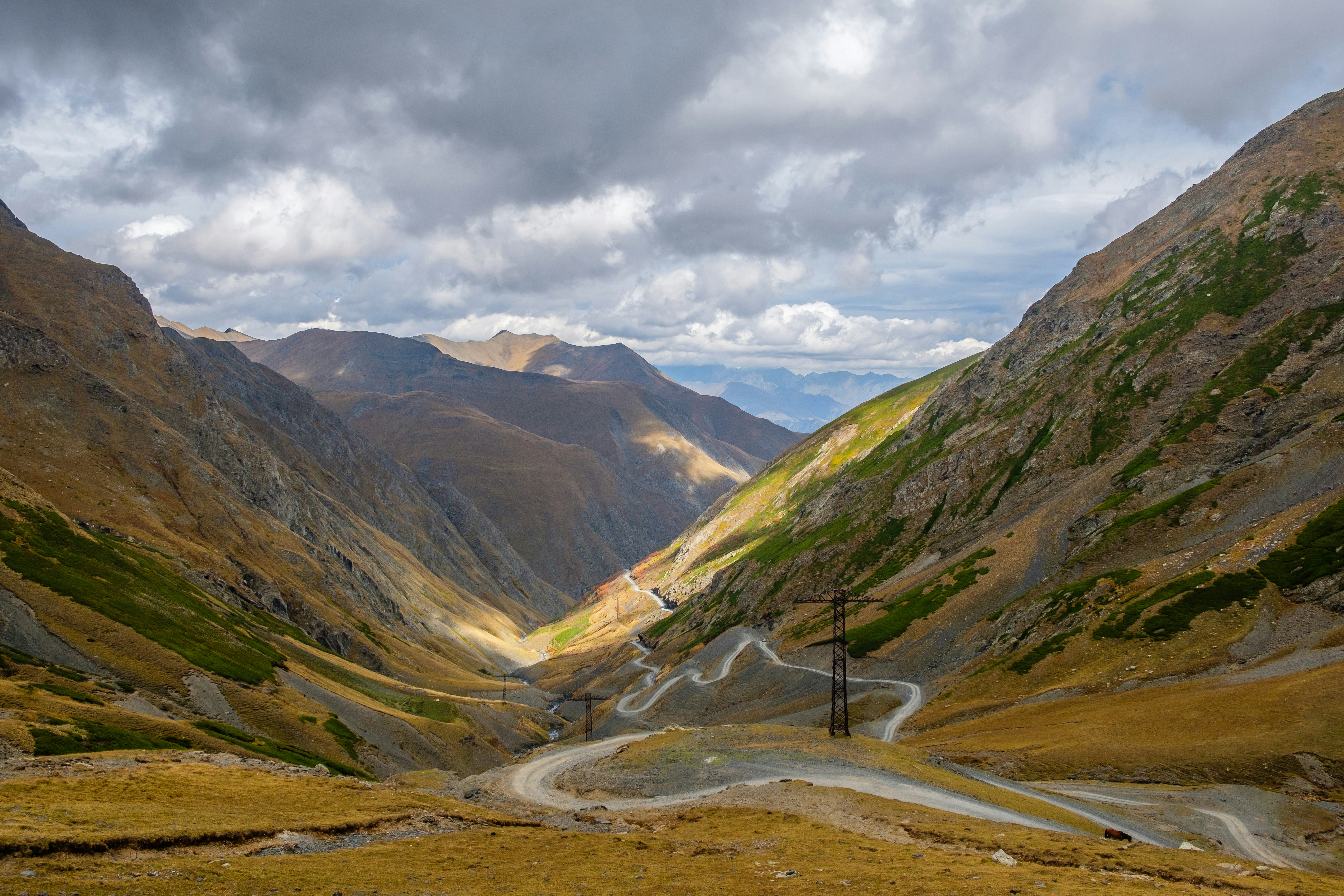 Photo by mbzzgeorgia