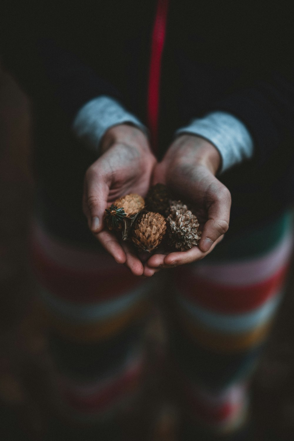 person holding three seeds