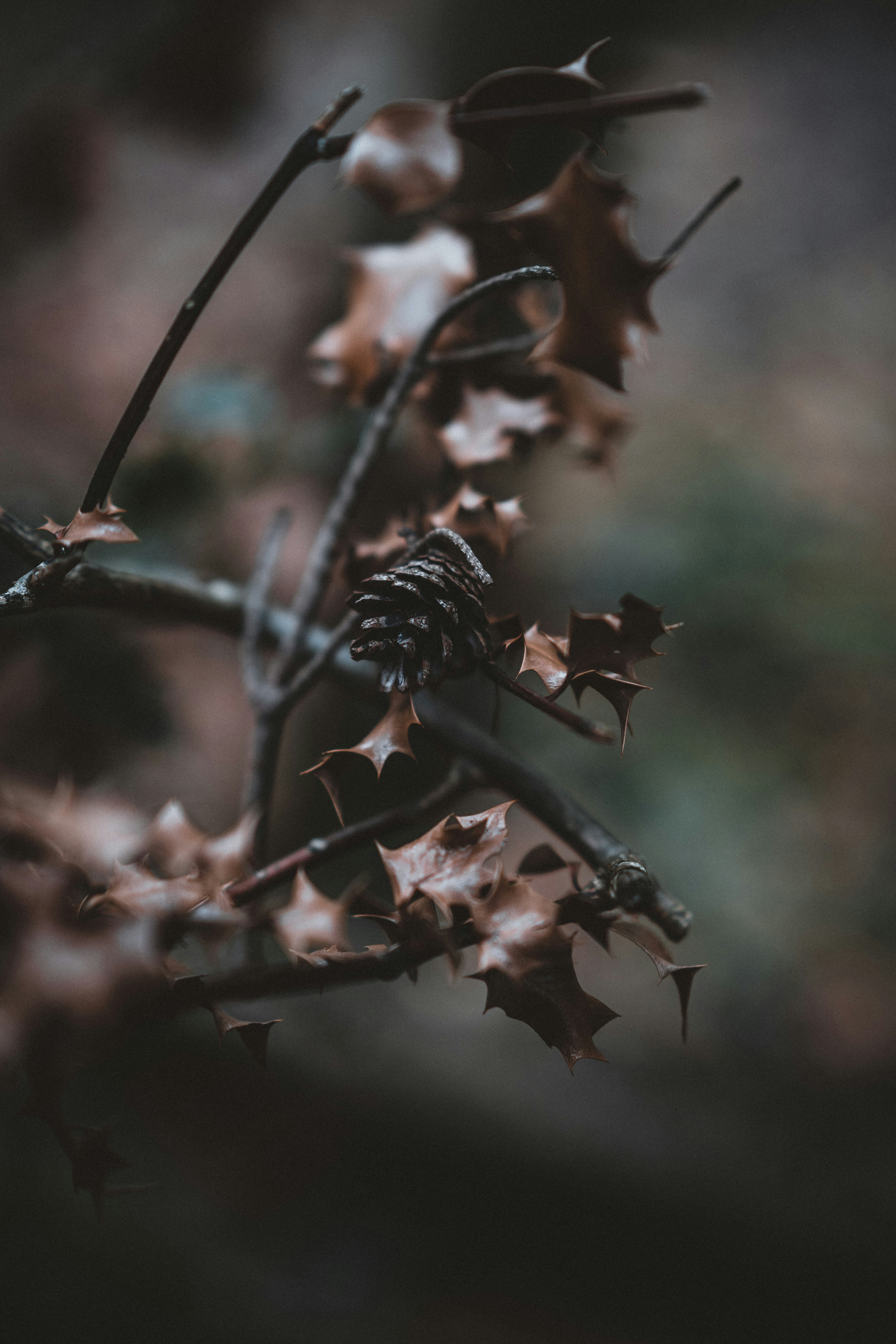 Photo by anniespratt