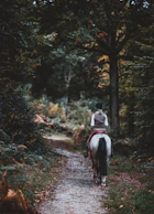 A rider pausing on a forest trail, surrounded by lush Honduran jungle.