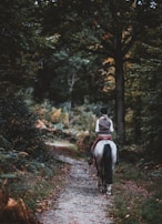 A rider on horseback is traveling down a narrow, leafy forest path surrounded by dense trees and vegetation. The environment is lush and green, with a natural, tranquil atmosphere.