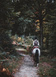 A rider on horseback is traveling down a narrow, leafy forest path surrounded by dense trees and vegetation. The environment is lush and green, with a natural, tranquil atmosphere.