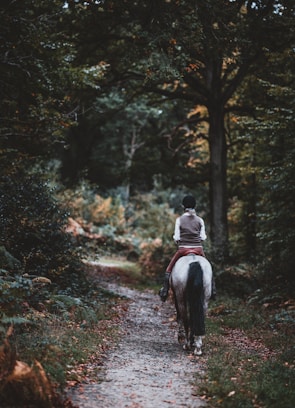 A rider enjoying a scenic trail ride through the woods.