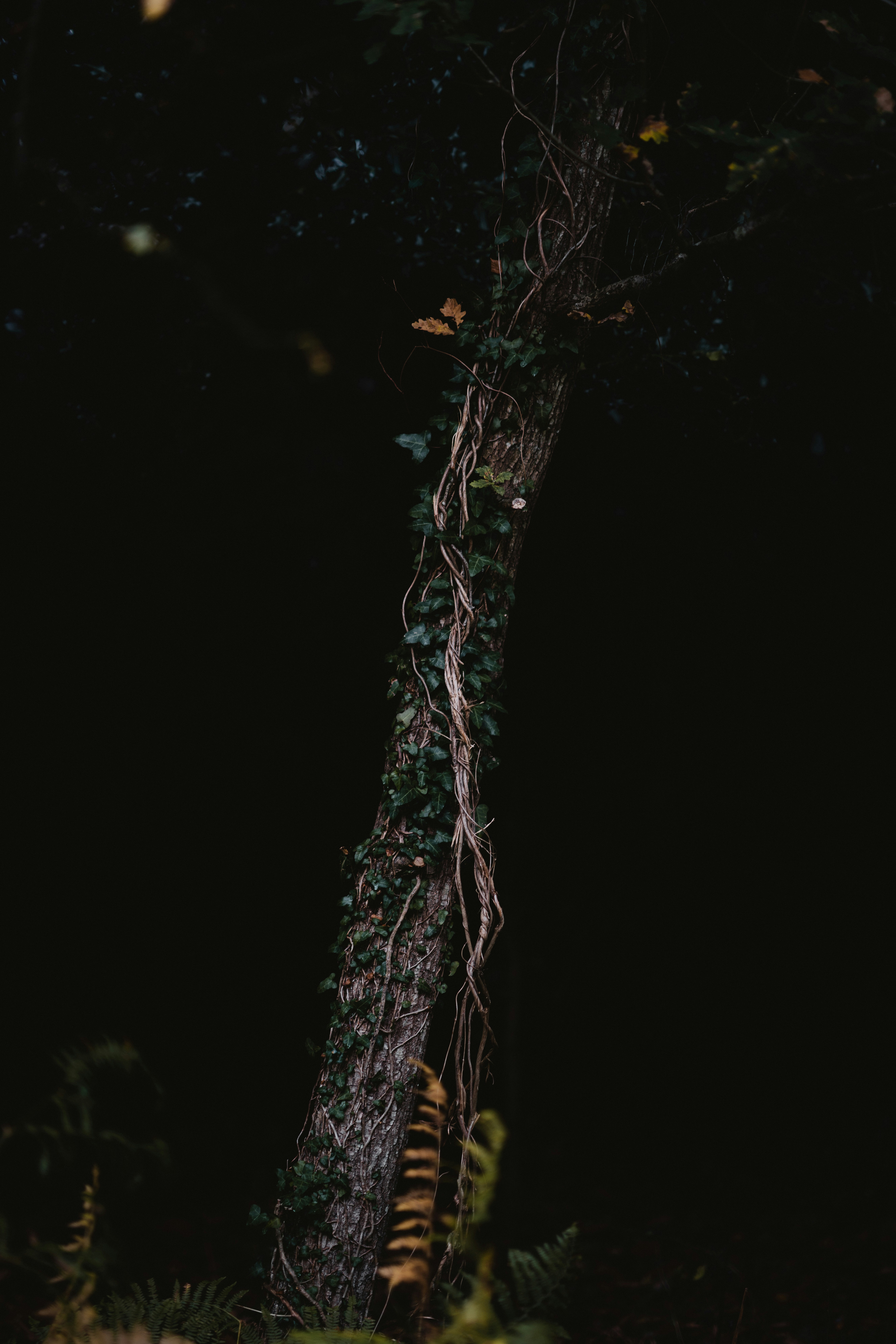 Photo by anniespratt