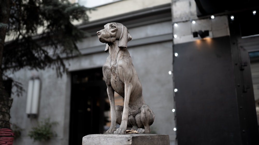 gray dog statue in front of building