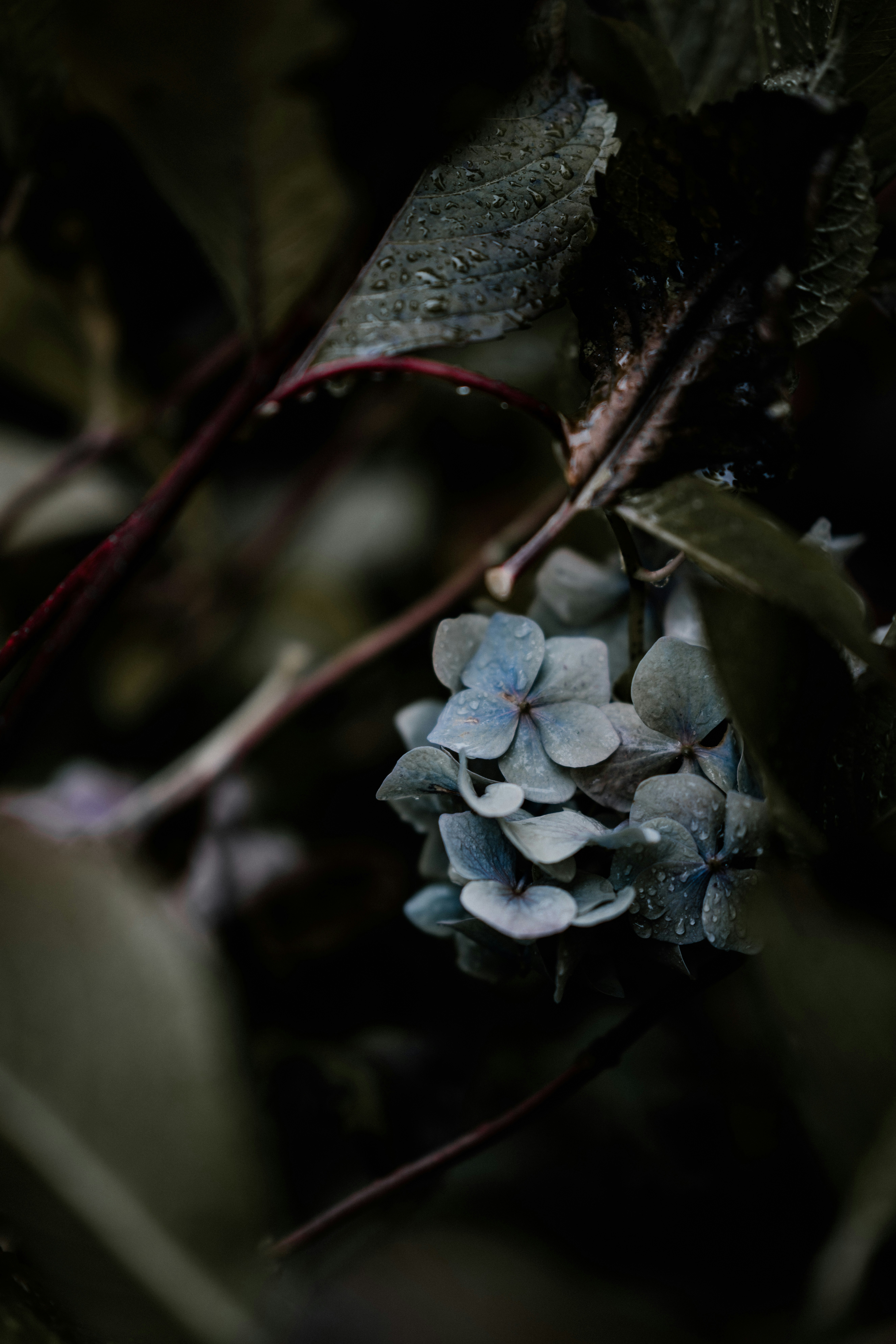 Photo by anniespratt