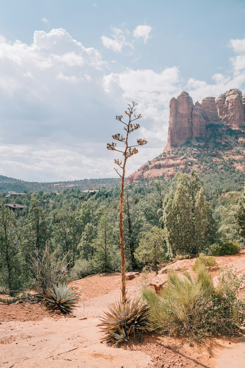 brown buttes on top of hill