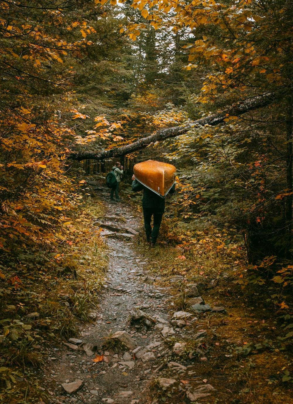 person carrying brown canoe