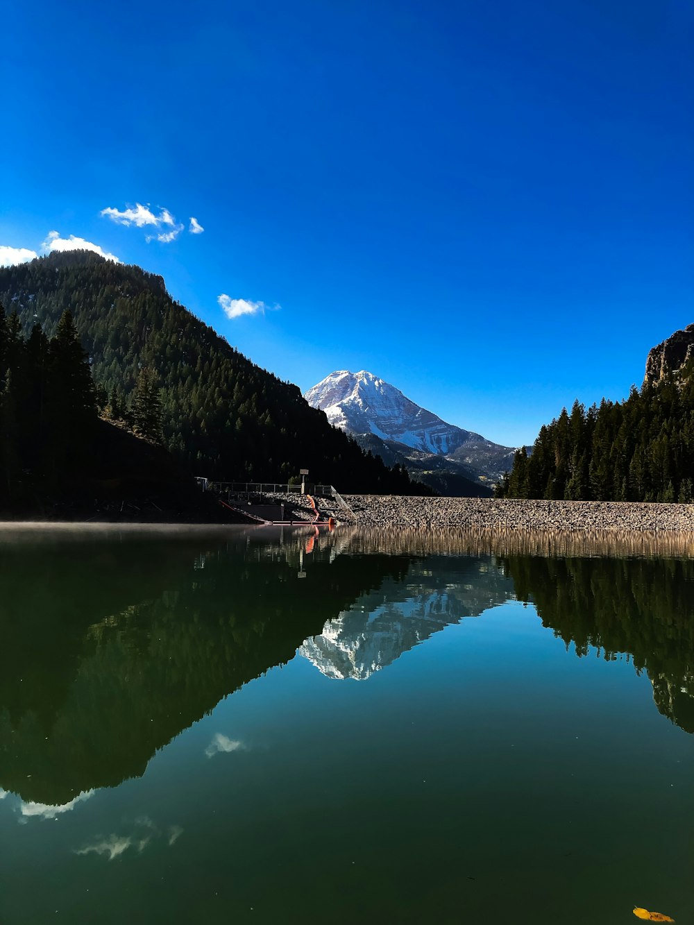 green trees covered mountain near river