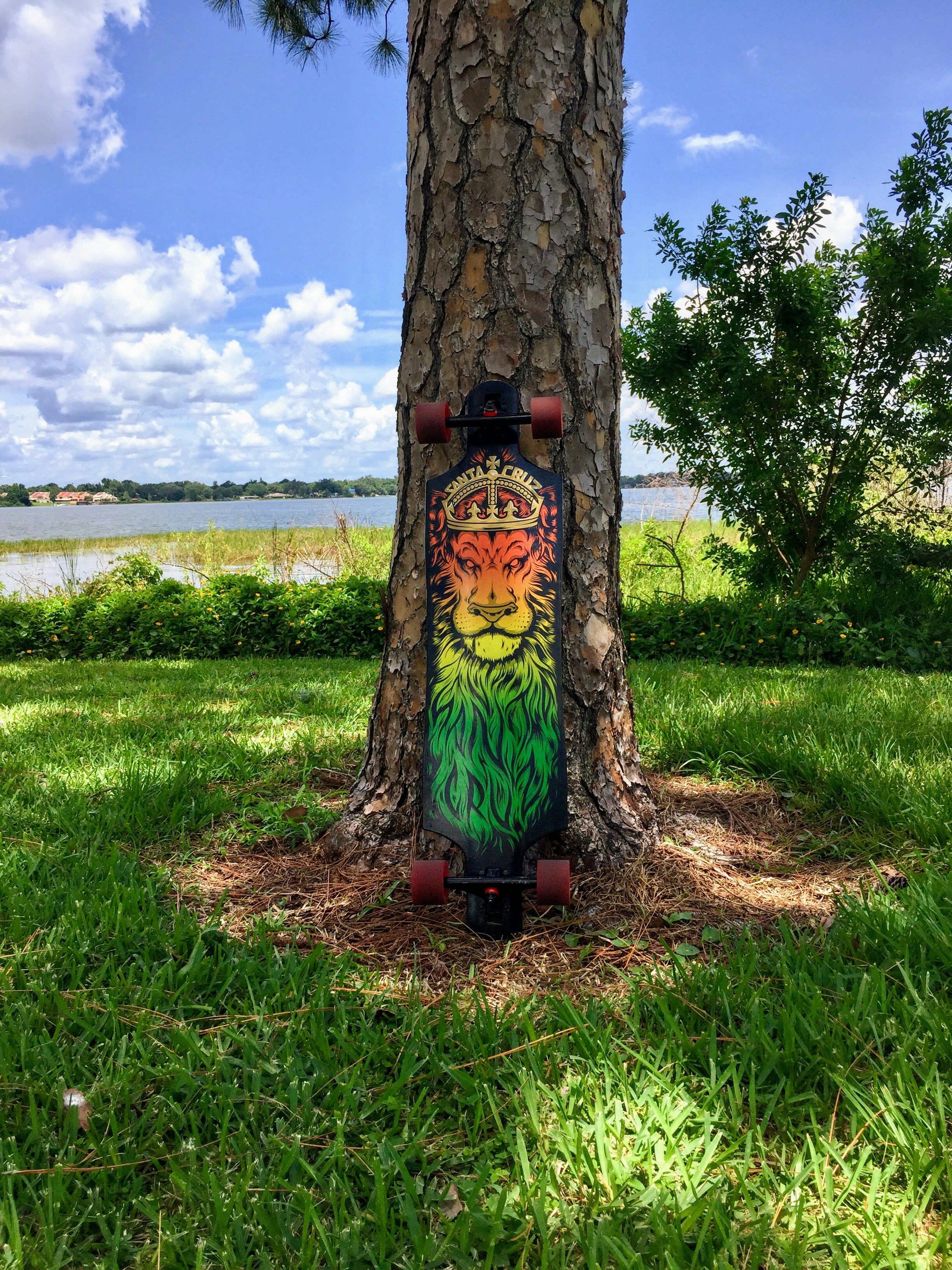 Pro Cruiser Longboard