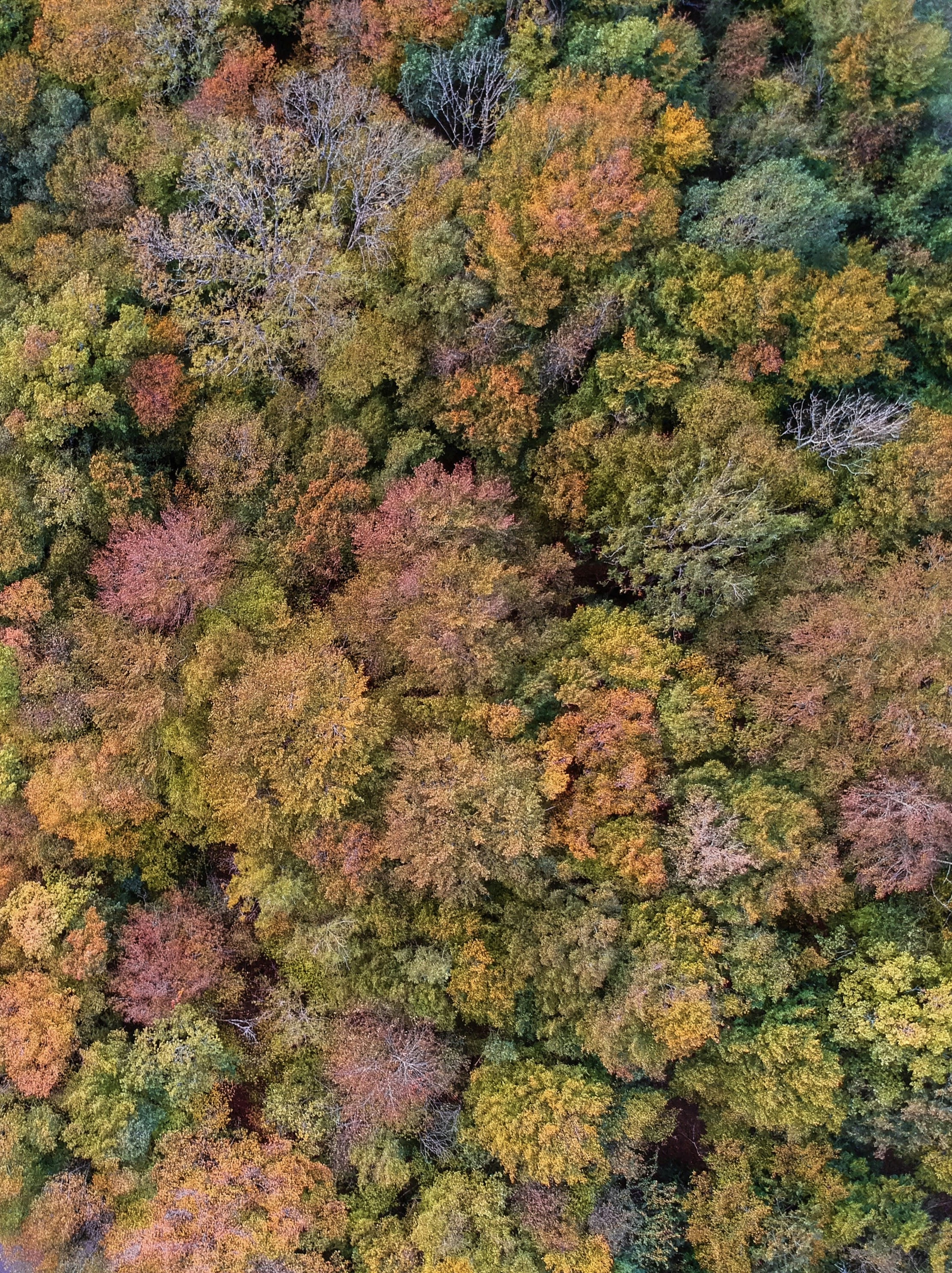 Photo by nathan030997