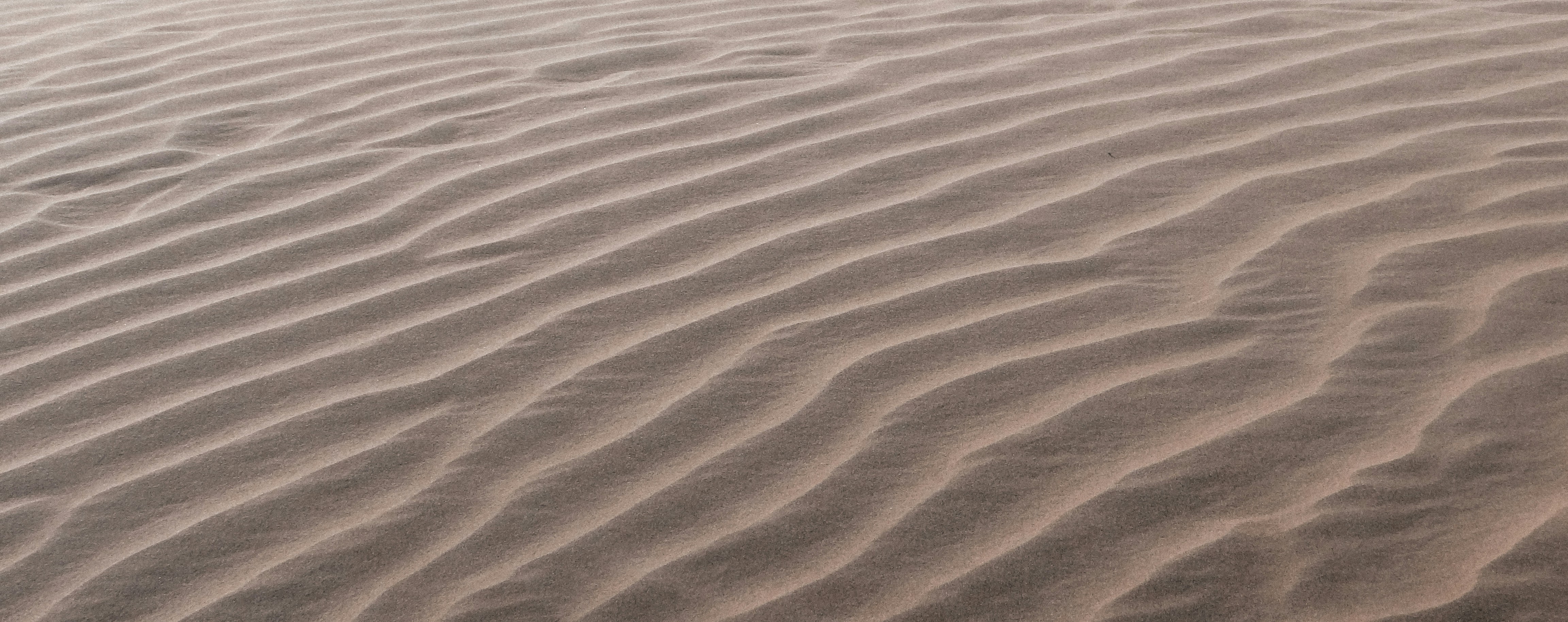 Photo by sharadmbhat