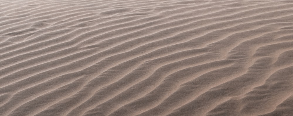 a person walking across a sandy beach