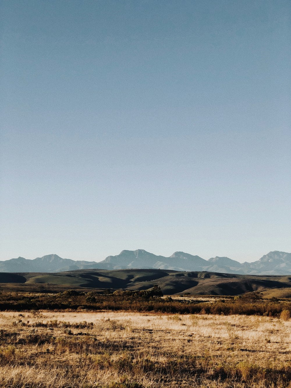 brown field view