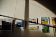 An arrangement of framed paintings grouped by series, featuring forest scenes and cityscapes from Colorado Springs.