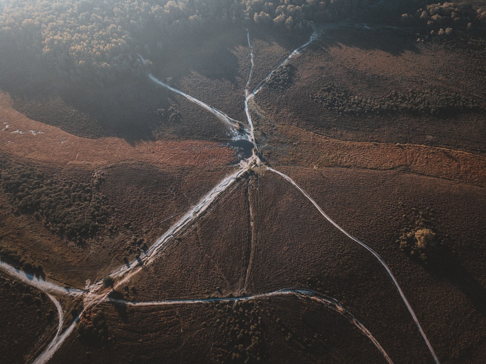 high angle photography of brown field and trees during daytime