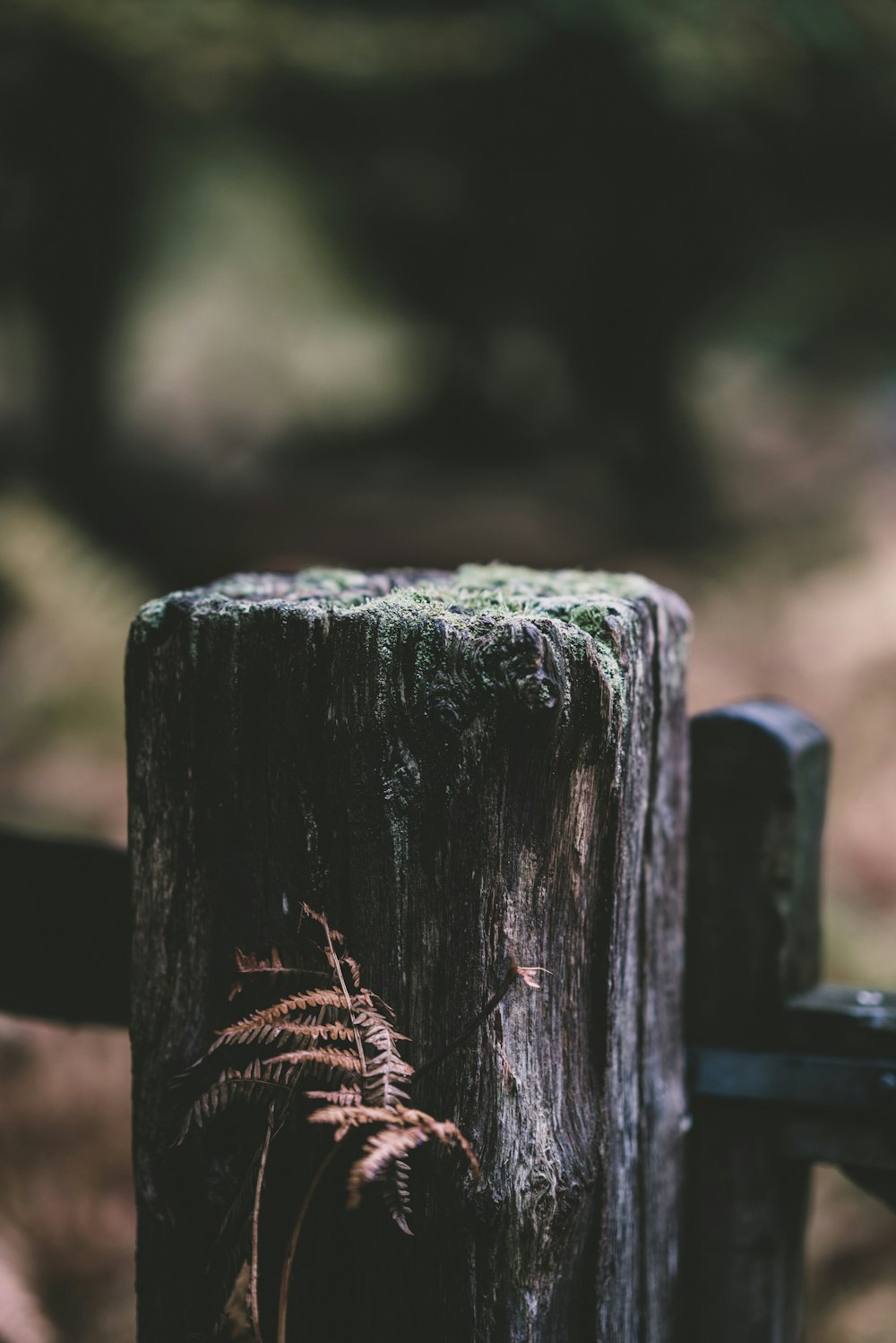 brown wooden stand