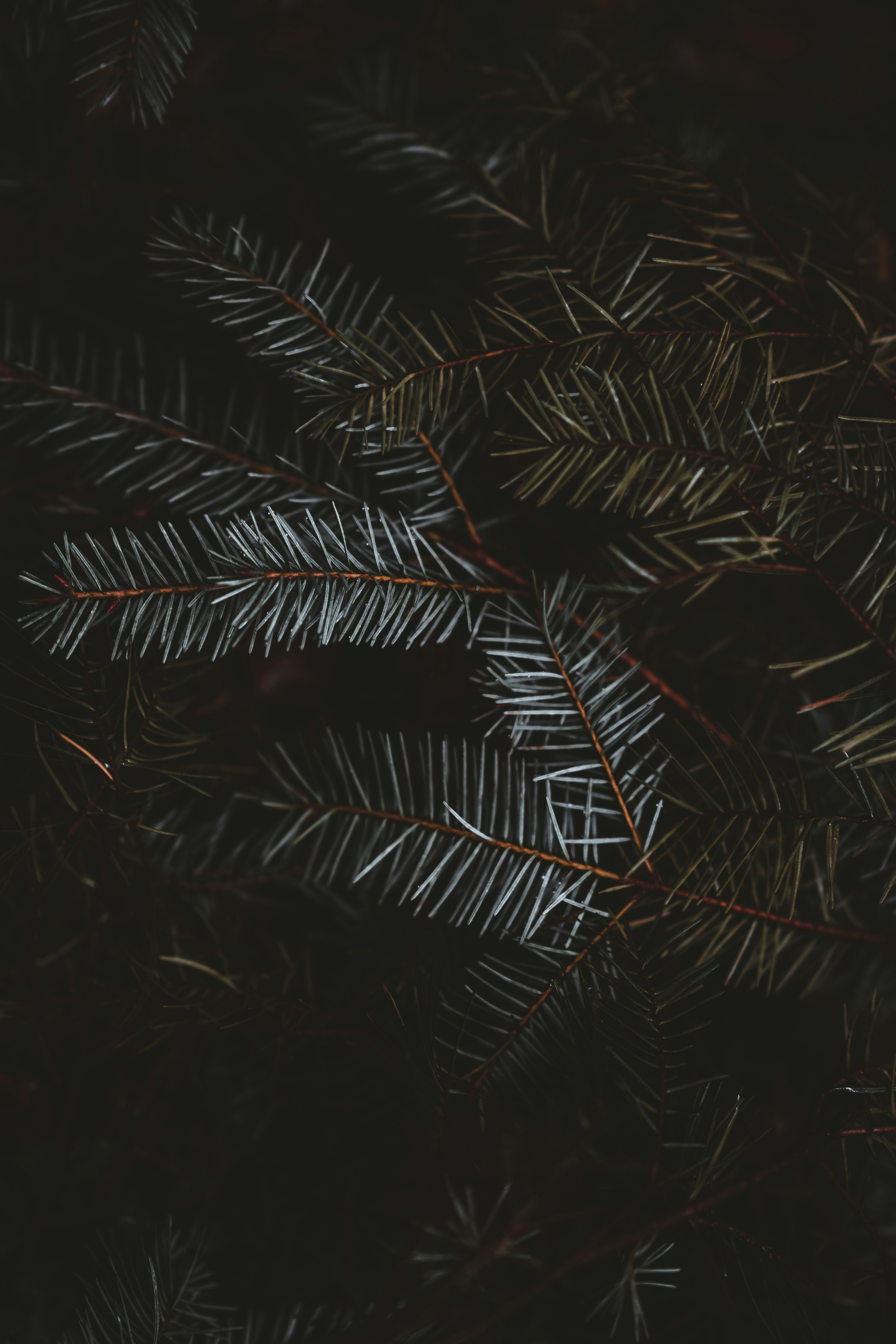 Photo by anniespratt