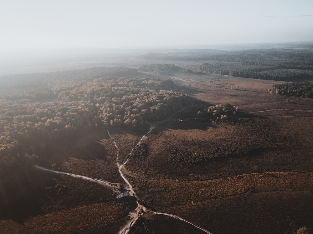 aerial view of forest