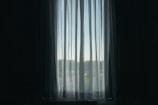 A peaceful window view with sunlight filtering through sheer curtains.