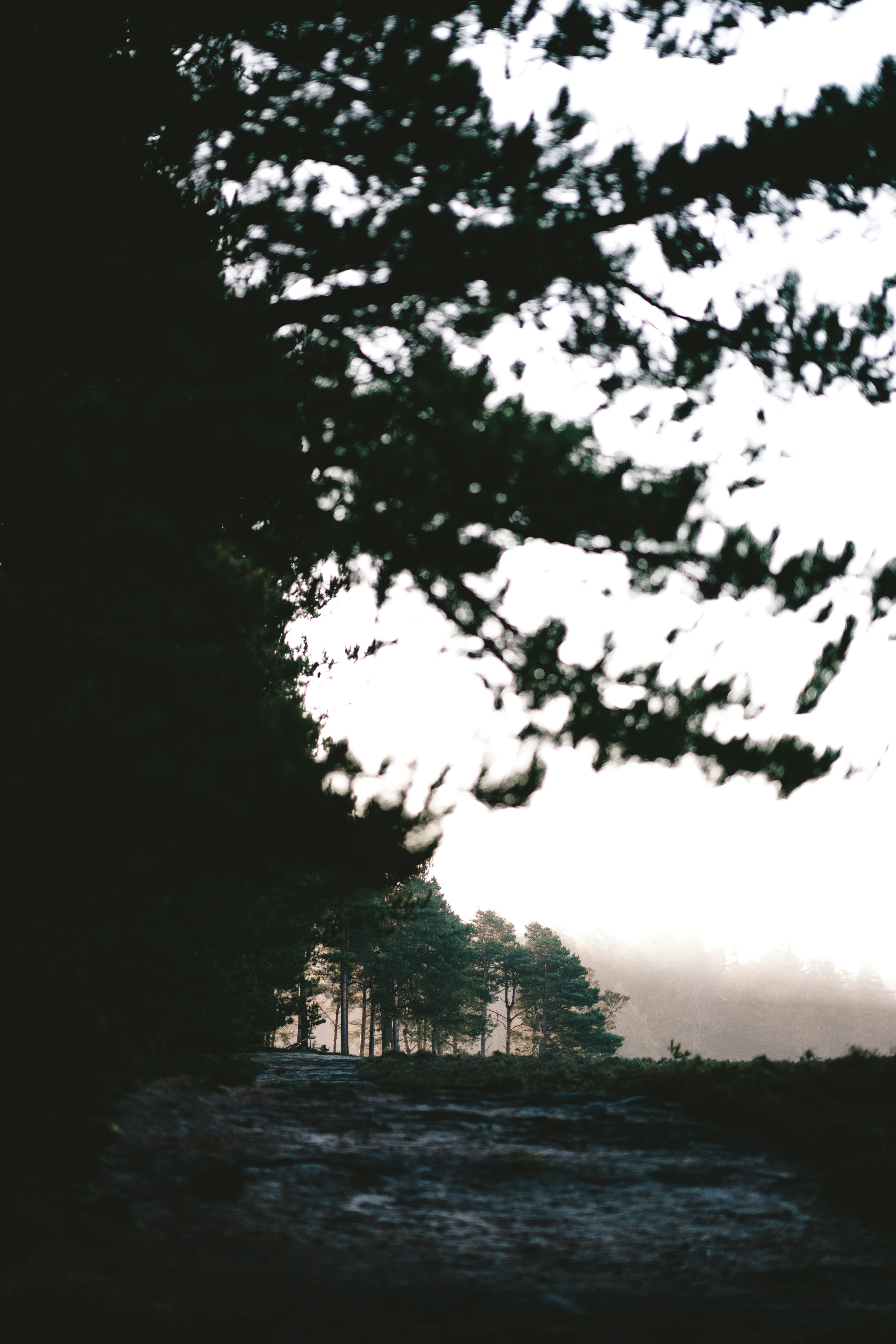 Photo by anniespratt