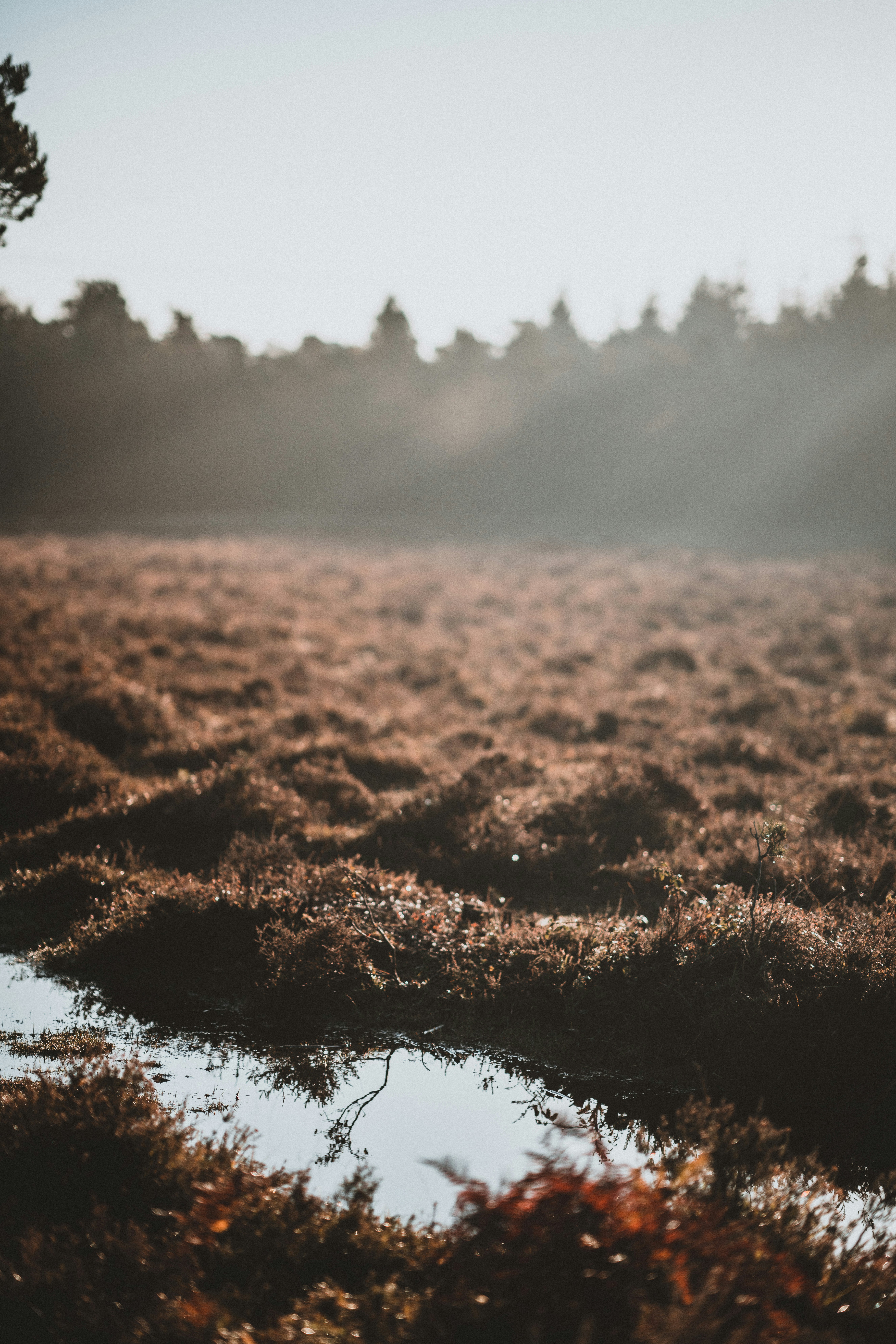 Photo by anniespratt