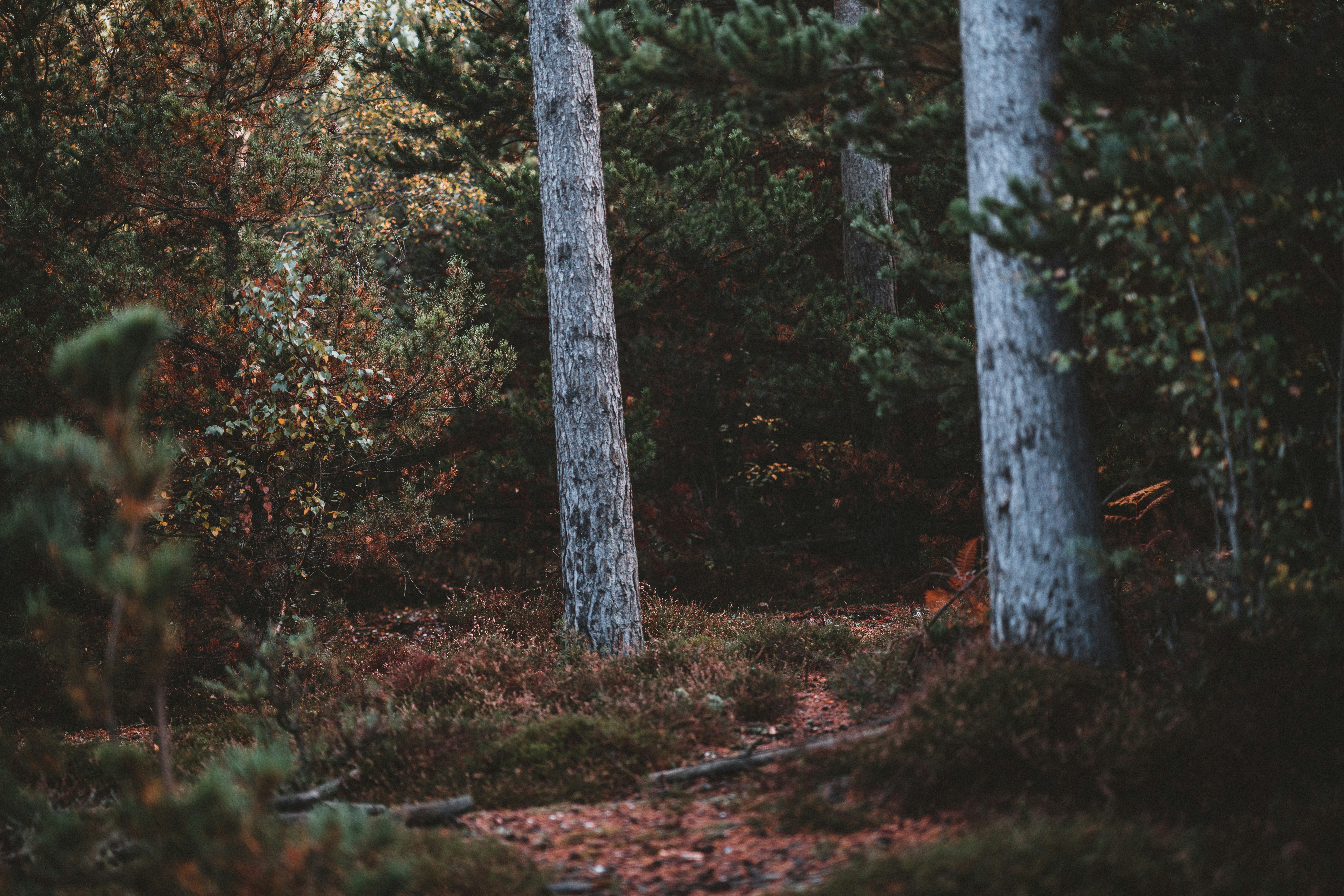 Photo by anniespratt