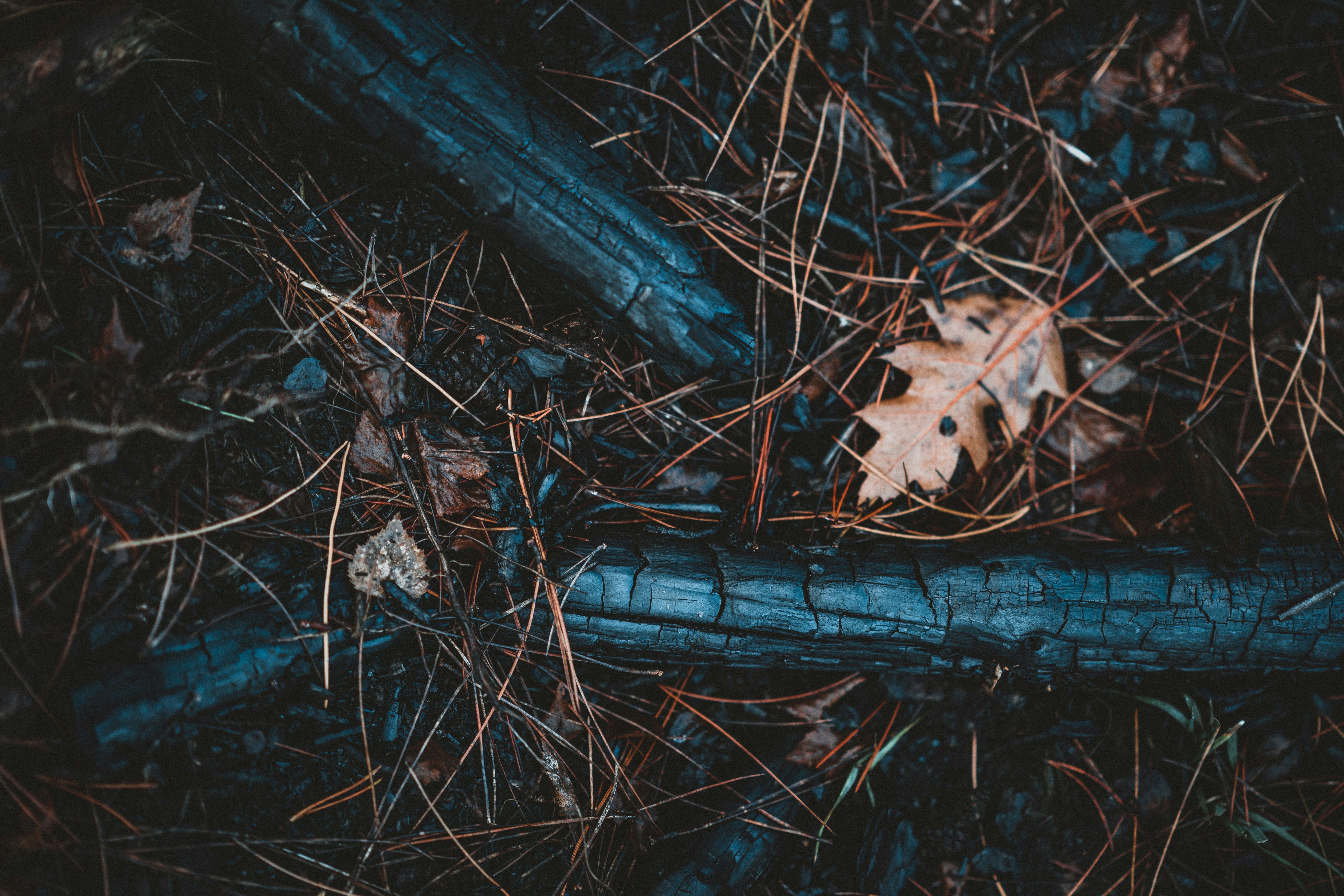 Photo by anniespratt