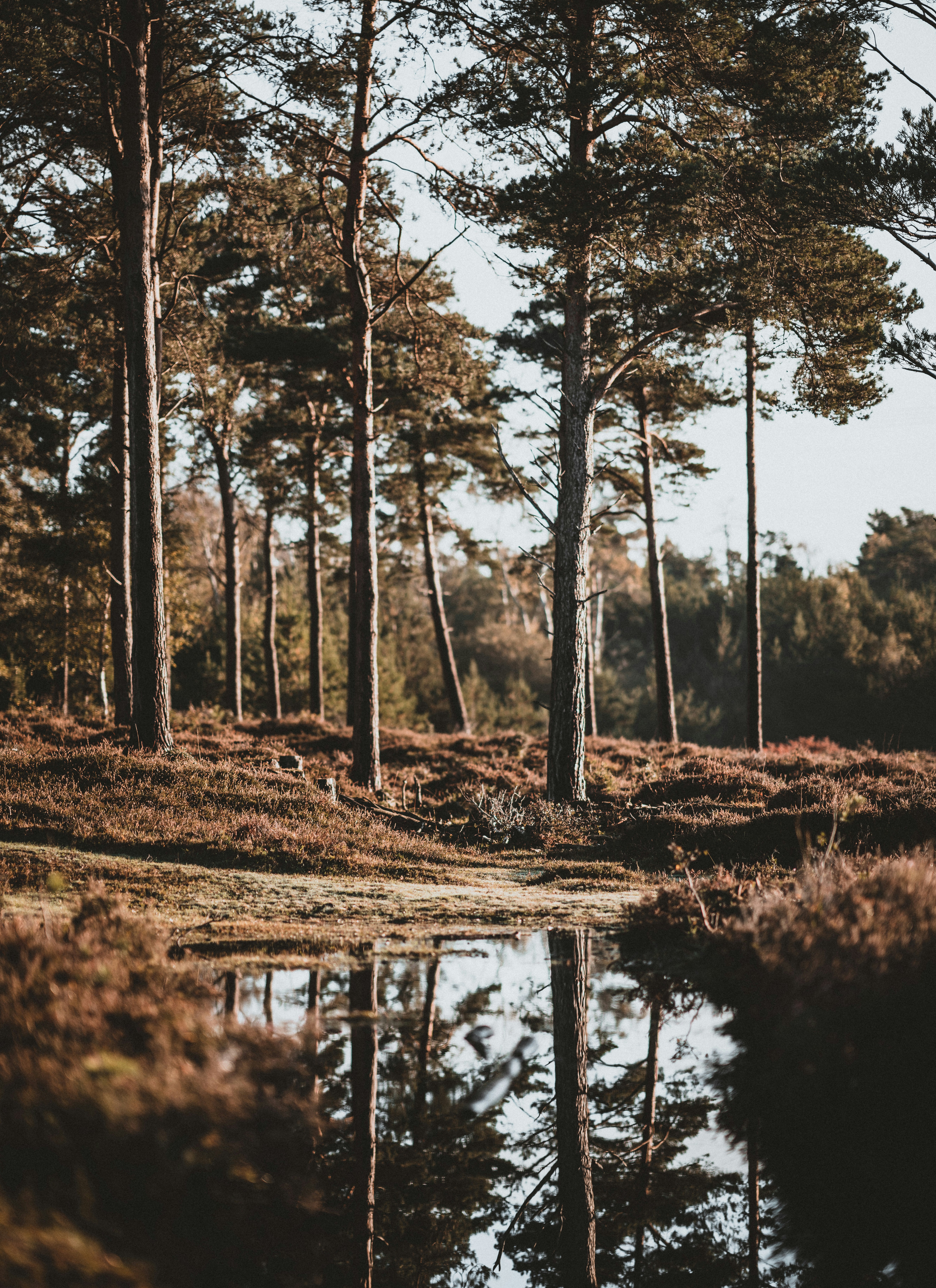 Photo by anniespratt