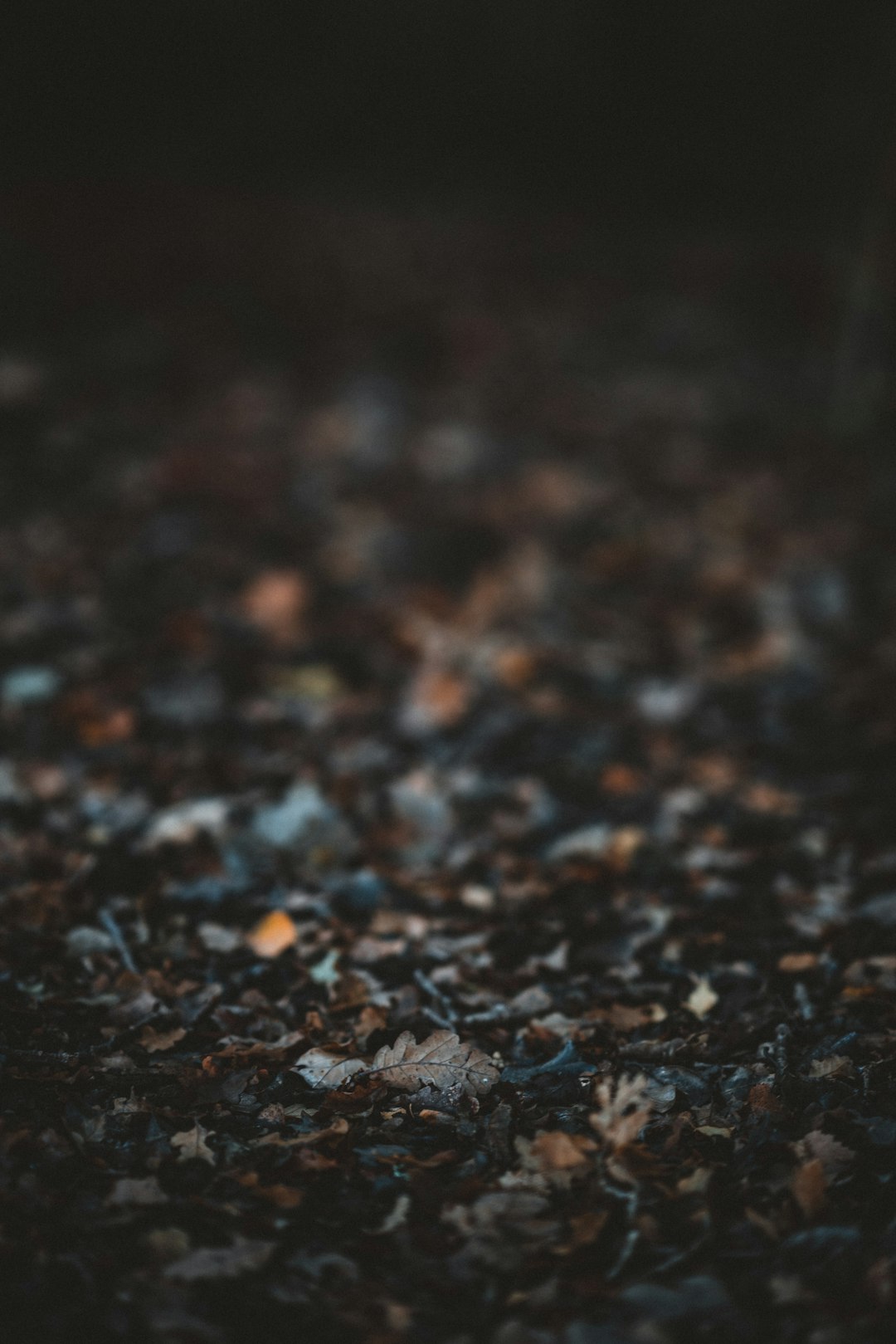 shallow focus photography of rocks