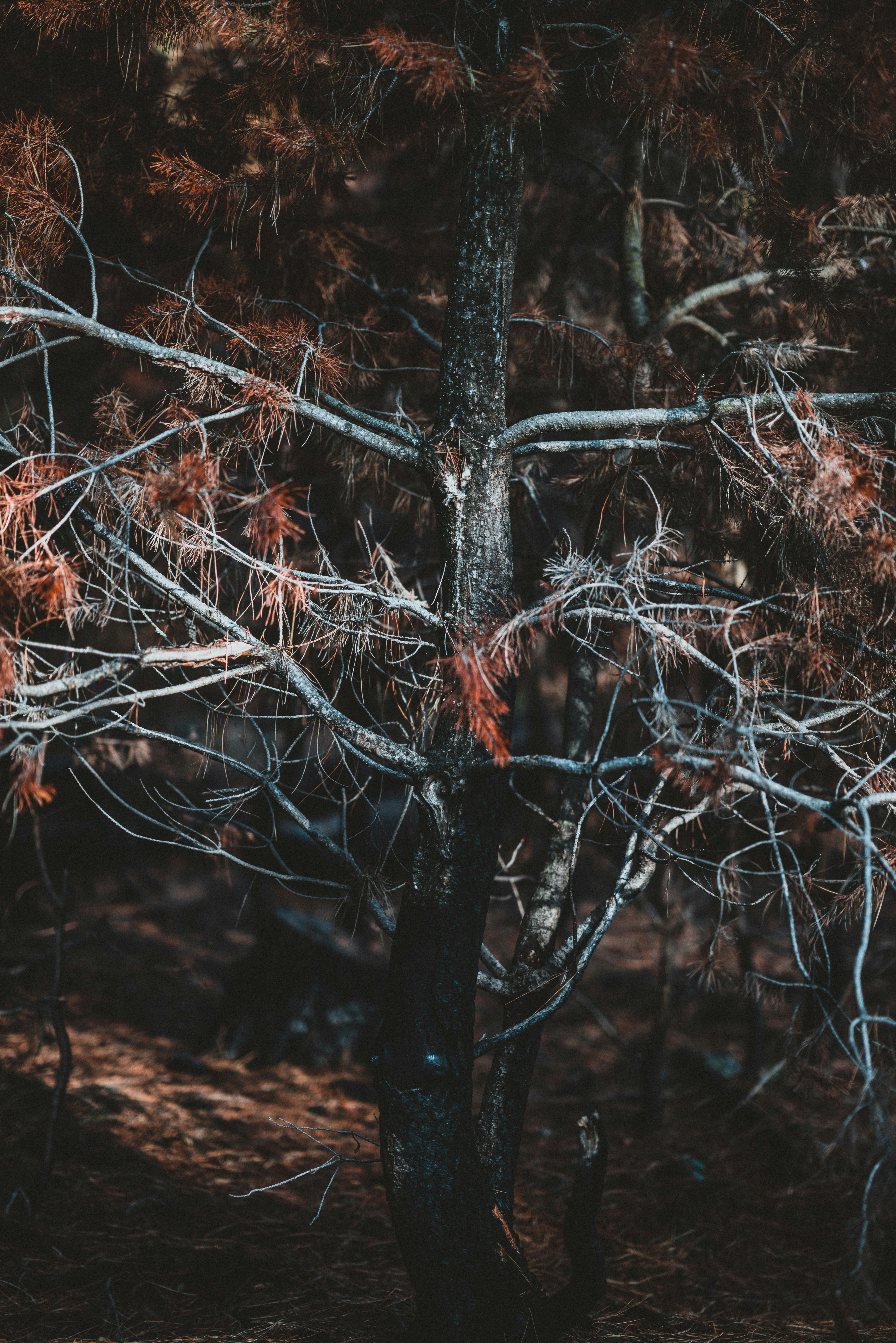 Photo by anniespratt