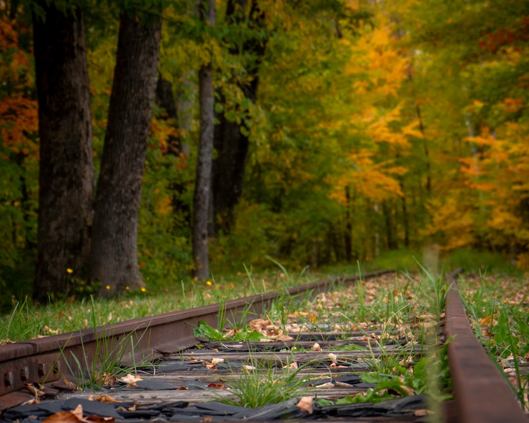 travelers stories about Forest in Monson, United States